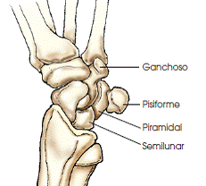 AP oblique position diagram